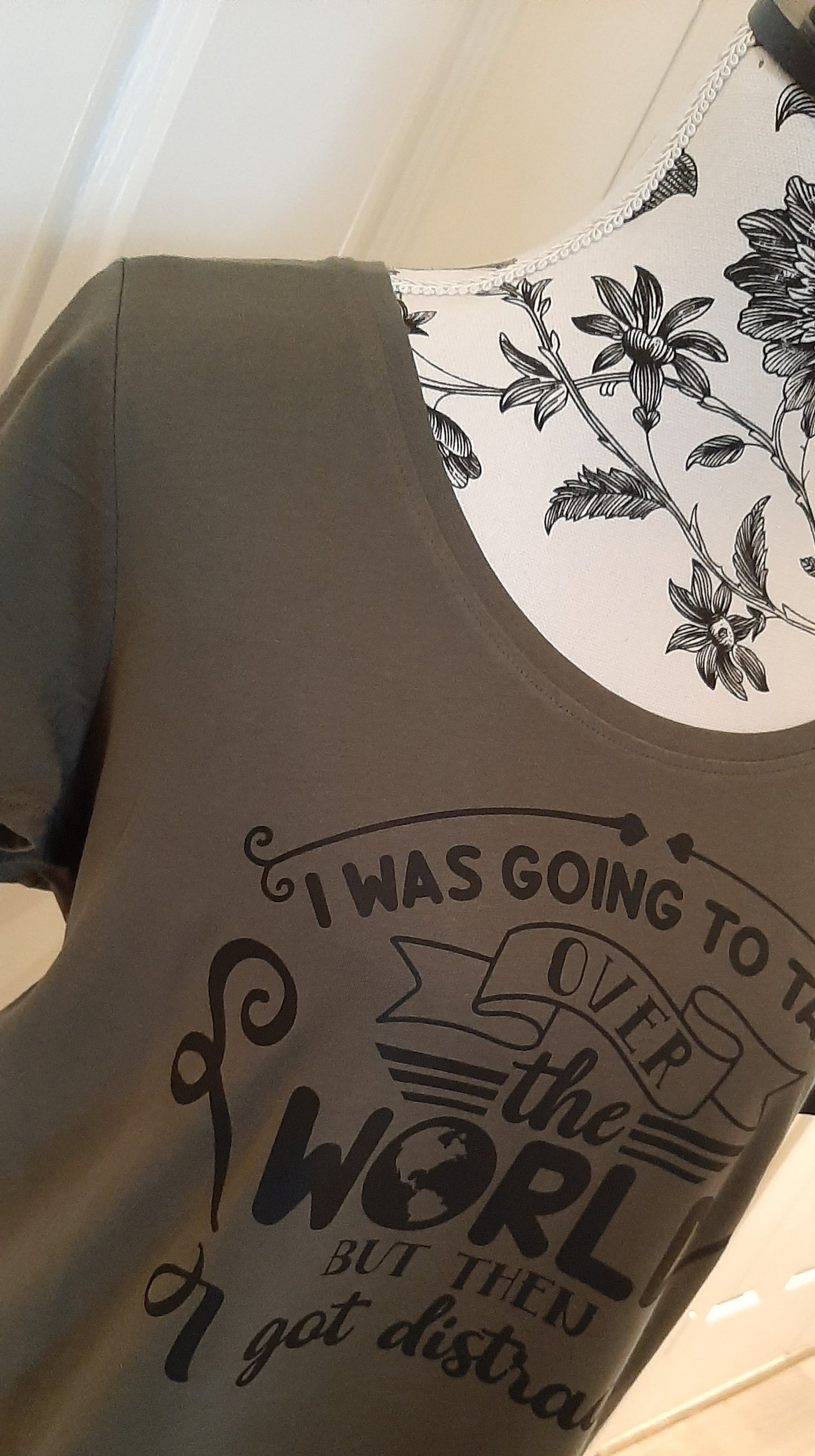 The "I was going to take over the World" T-Shirt