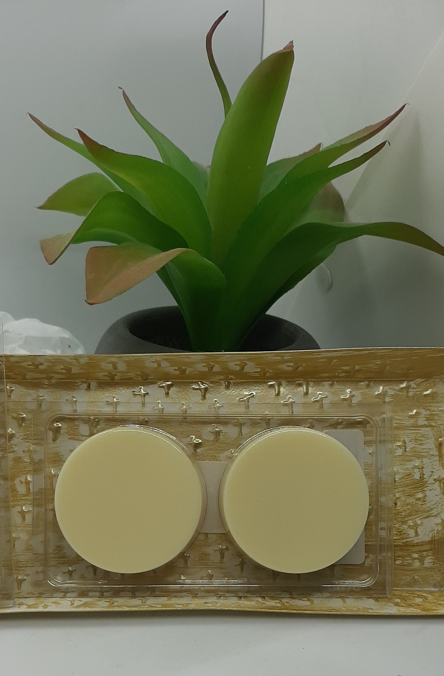 Goats Milk Soap