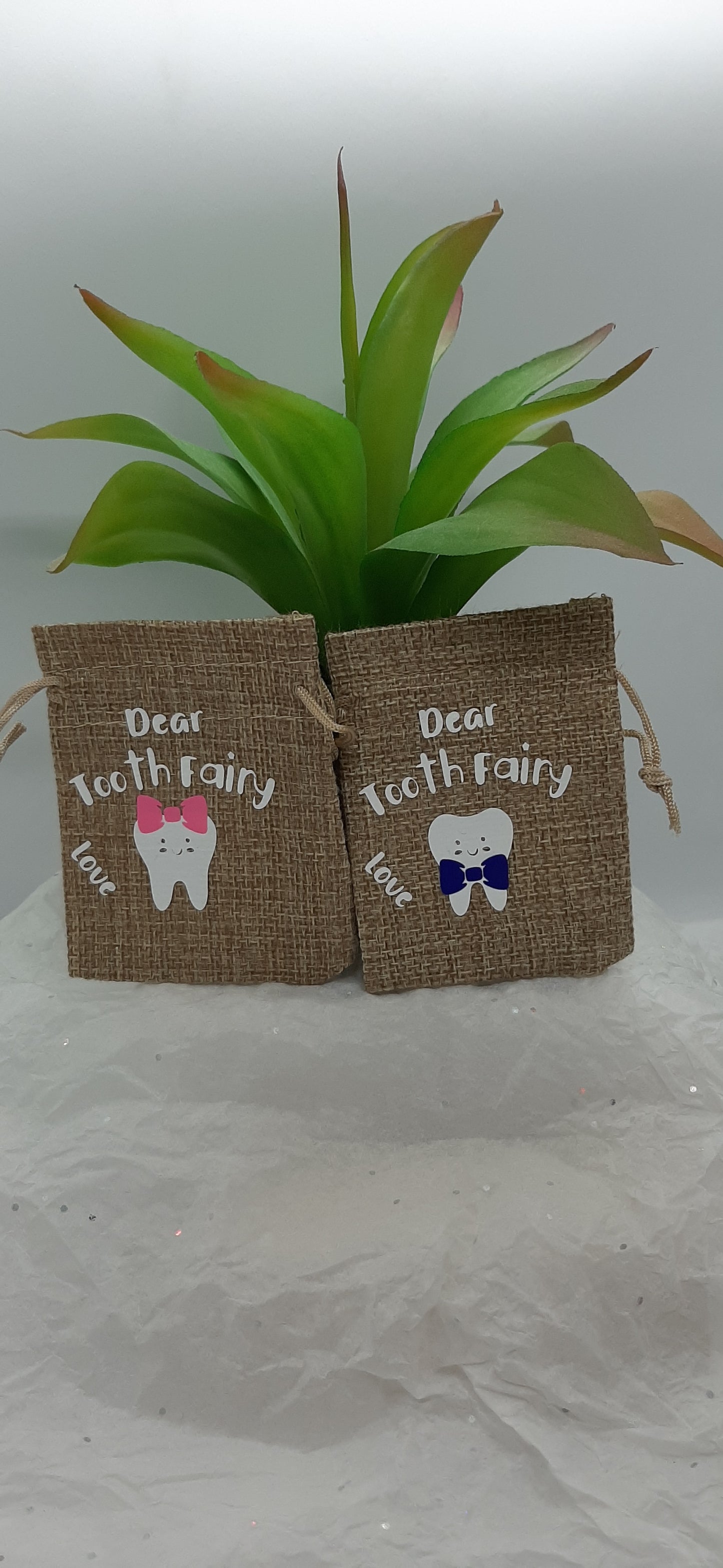 Tooth Fairy Bags