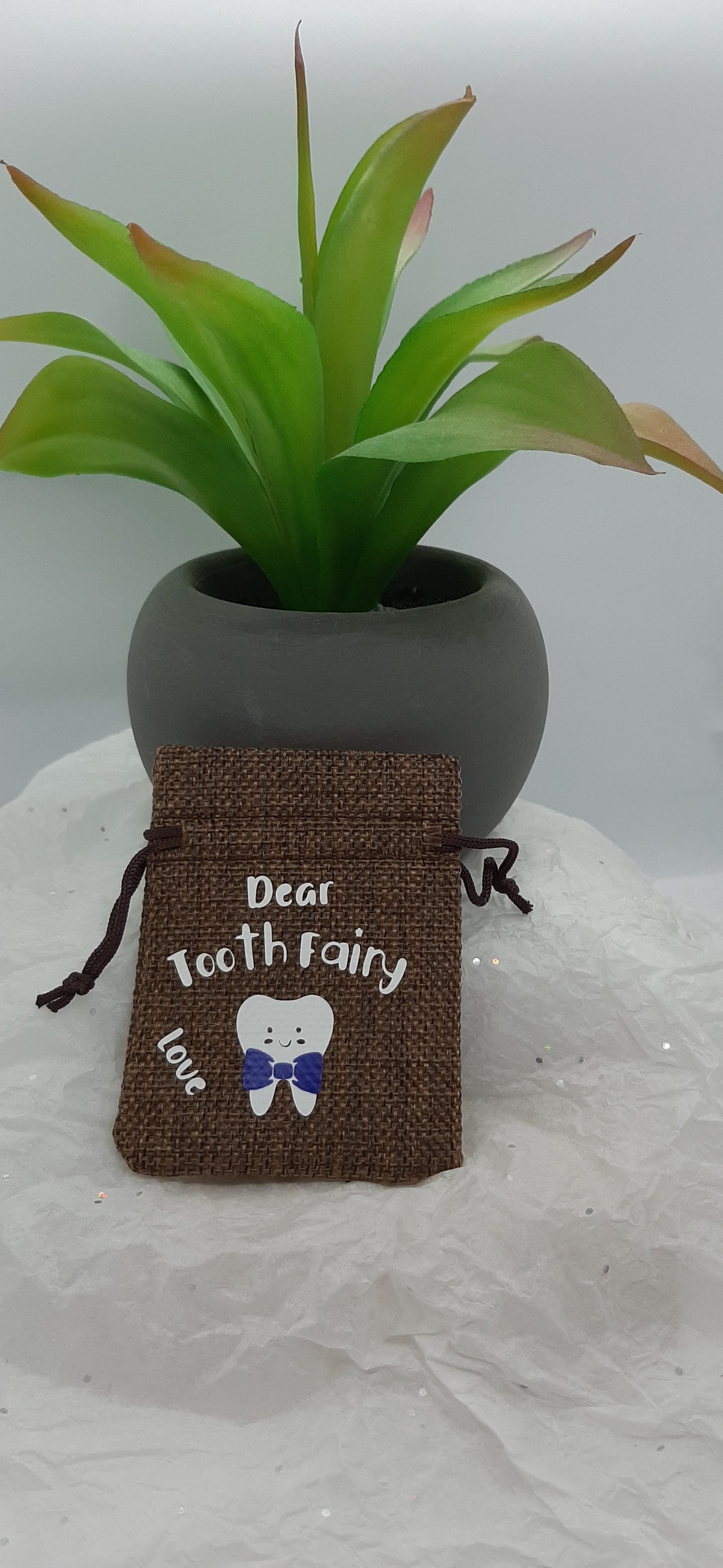 Tooth Fairy Bags