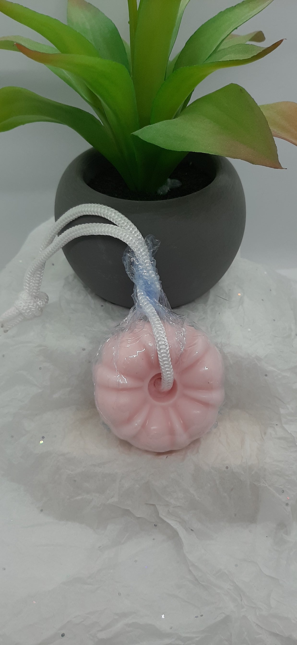 Soap on A Rope